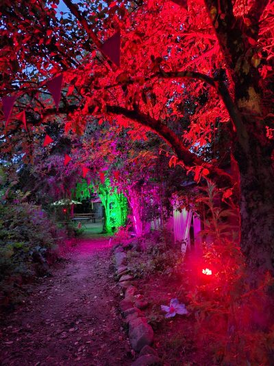 Foto Sommerland Festival 2025
