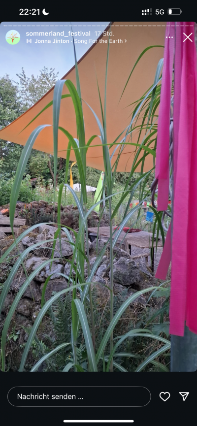 Foto Sommerland Festival 2025