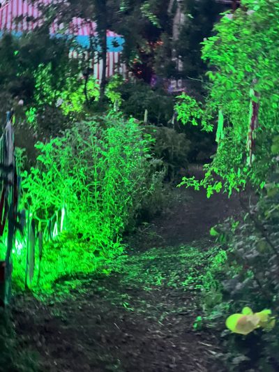 Foto Sommerland Festival 2025